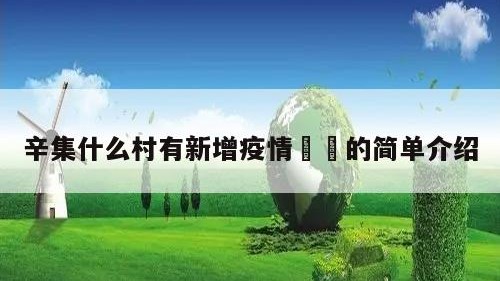 辛集什么村有新增疫情㊙️的简单介绍