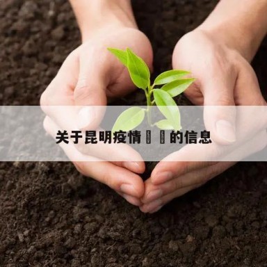 关于昆明疫情㊙️的信息