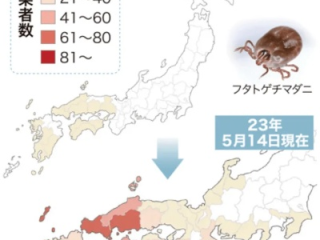 警惕！日本今年已报告72例蜱虫病病例，防控与公众健康意识亟需加强
