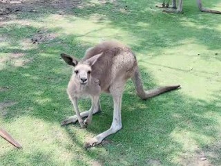 易彩堂平台✅-㊙️易彩堂网站多少