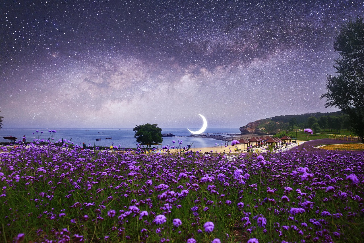星空MV、梦幻MV、天美MV、糖心MV、蓝莓高清视频，一场视觉与听觉的沉浸之旅