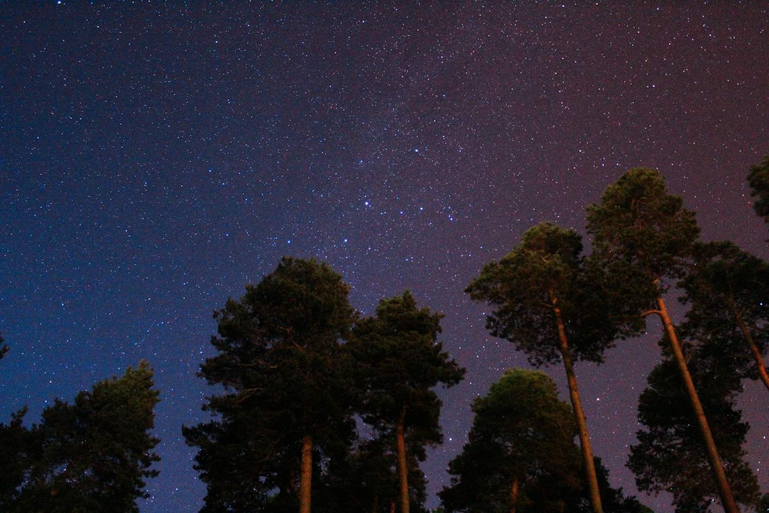 追吞噬星空全集免费看？星辰影院刷剧攻略，我试了真的香！
