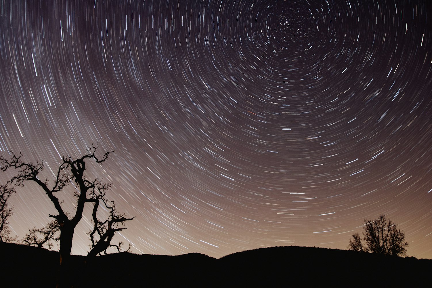 吞噬星空动画免费看全集？这份观剧指南请收好—附星星影院高清在线实测